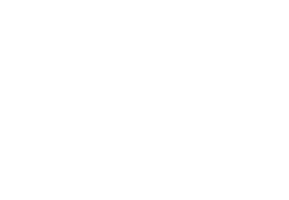 cacao vector